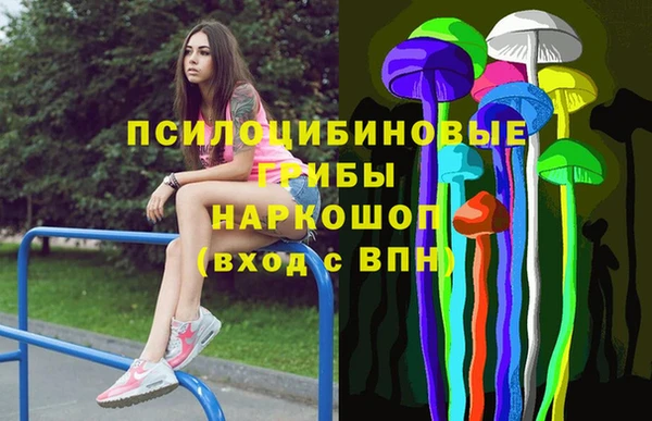 стафф Горнозаводск