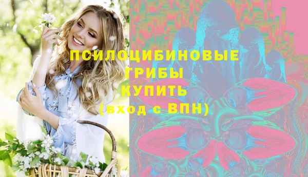 стафф Горнозаводск