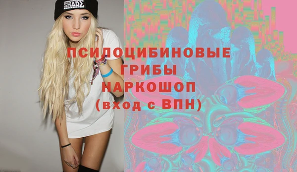 МДПВ Горно-Алтайск